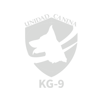 CONTROLA EL PERÍMETRO, <br />ACCESOS Y SALIDAS